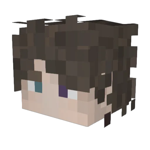 spooked_shxdy Minecraft avatar head, 3D render