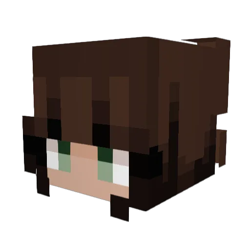 spookedweasley Minecraft avatar head, 3D render