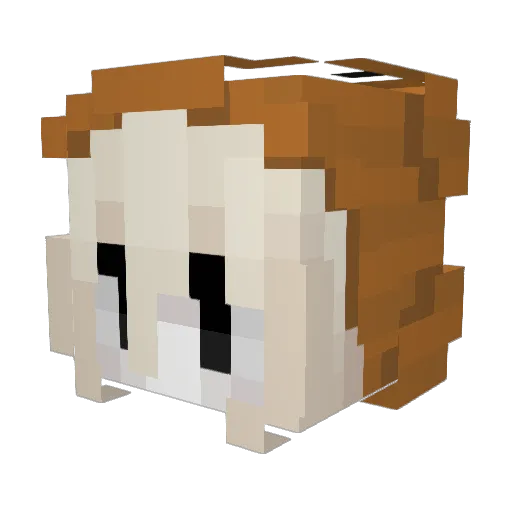 spookjira Minecraft avatar head, 3D render