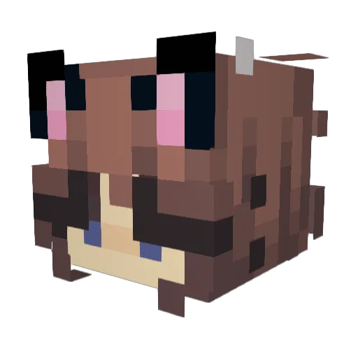 spookv_ Minecraft avatar head, 3D render
