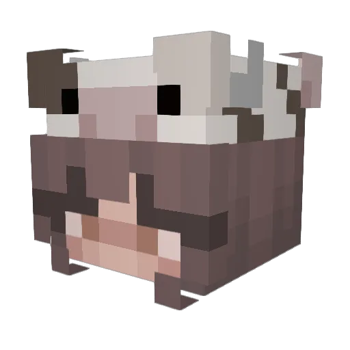 spooky_fire_ahhh Minecraft avatar head, 3D render