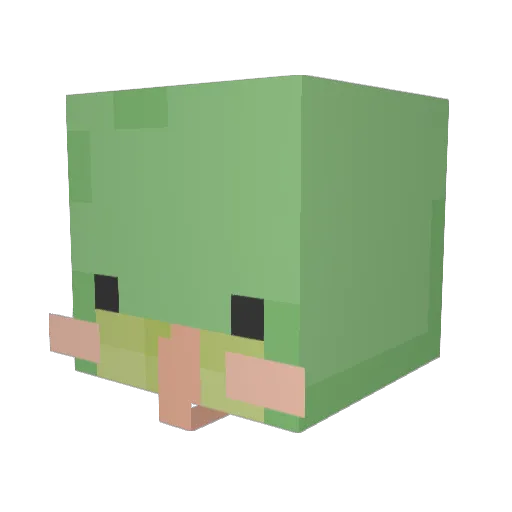 spookyflowers Minecraft avatar head, 3D render