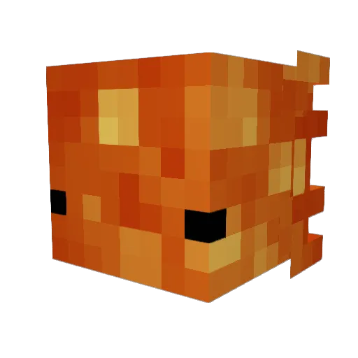 spookyplopper911 Minecraft avatar head, 3D render
