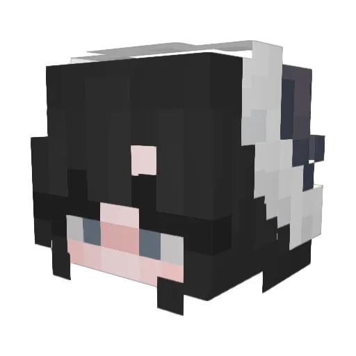 spoonbee Minecraft avatar head, 3D render
