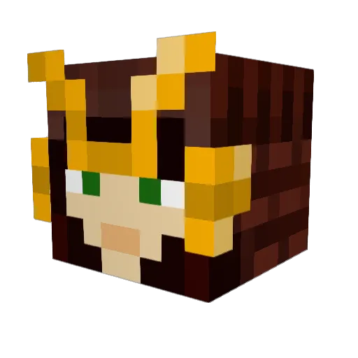 spoondog07 Minecraft avatar head, 3D render