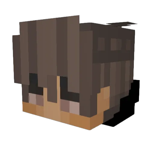 spooozz Minecraft avatar head, 3D render