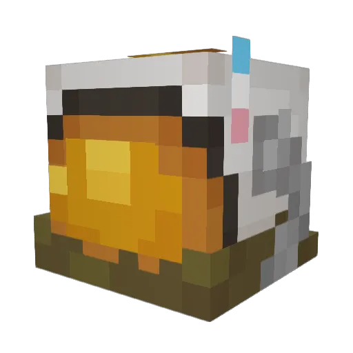 spoopykool Minecraft avatar head, 3D render