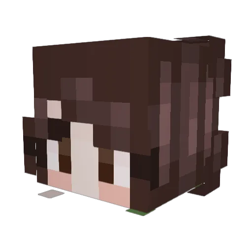 spopken Minecraft avatar head, 3D render