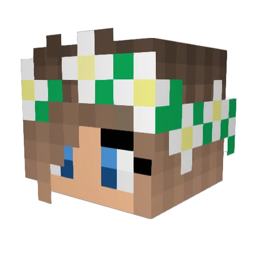 sportlover55 Minecraft avatar head, 3D render