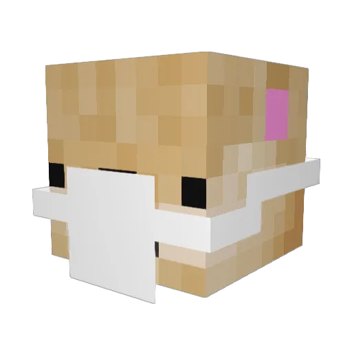 spot80 Minecraft avatar head, 3D render