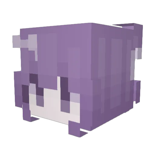spqrklez_ Minecraft avatar head, 3D render