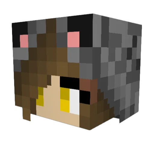 sprayman358 Minecraft avatar head, 3D render