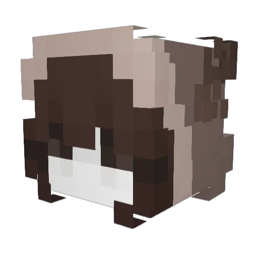 spraynyan Minecraft avatar head, 3D render