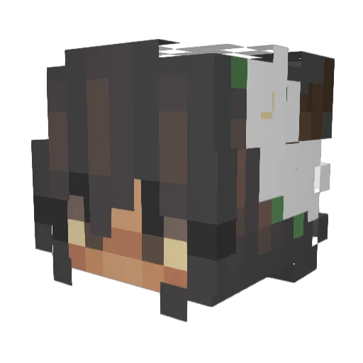 springhascome Minecraft avatar head, 3D render