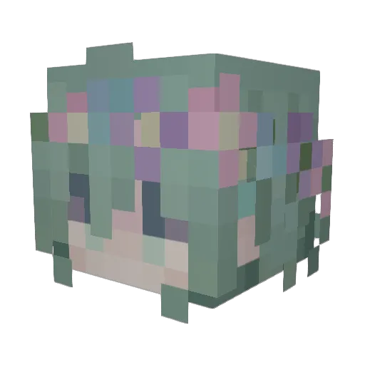 sproutvines Minecraft avatar head, 3D render