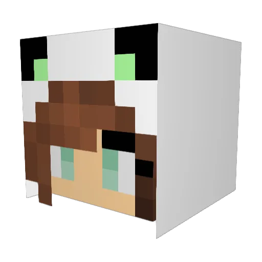 spudhorne Minecraft avatar head, 3D render