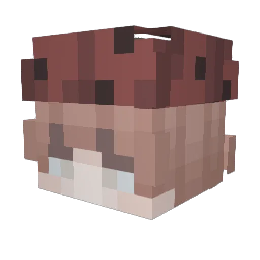 spumes Minecraft avatar head, 3D render