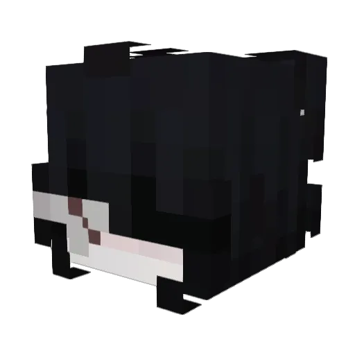 spxcesrage Minecraft avatar head, 3D render