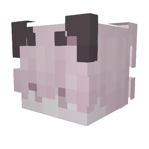 spxzelyyy Minecraft avatar head, 3D render