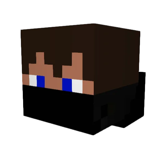 spyro6705 Minecraft avatar head, 3D render