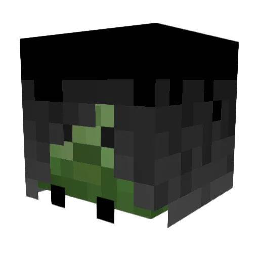 spyshark55 Minecraft avatar head, 3D render