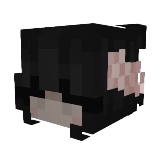 spyzle Minecraft avatar head, 3D render