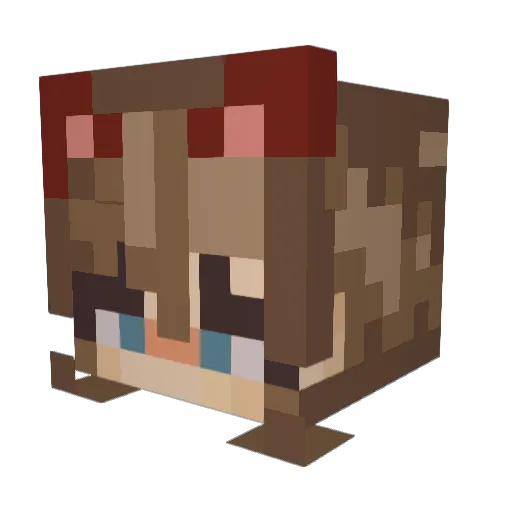 sq_aero Minecraft avatar head, 3D render