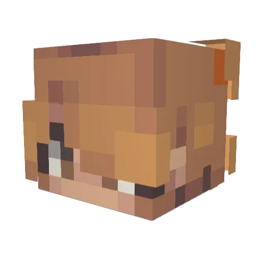 sqacekitty Minecraft avatar head, 3D render