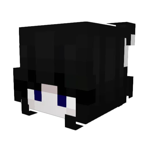 sqadoxifox Minecraft avatar head, 3D render