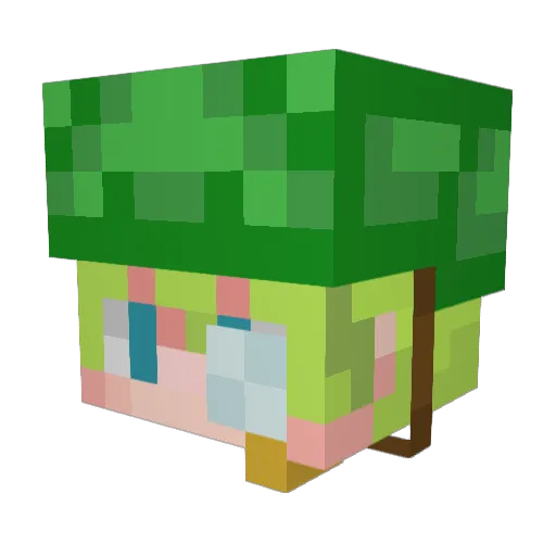 sqashes Minecraft avatar head, 3D render