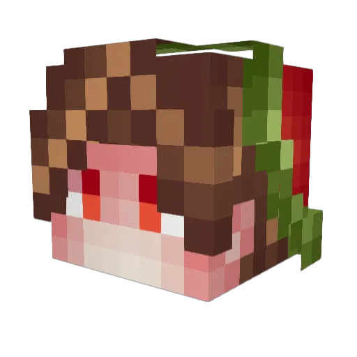 sqdCranchie Minecraft avatar head, 3D render