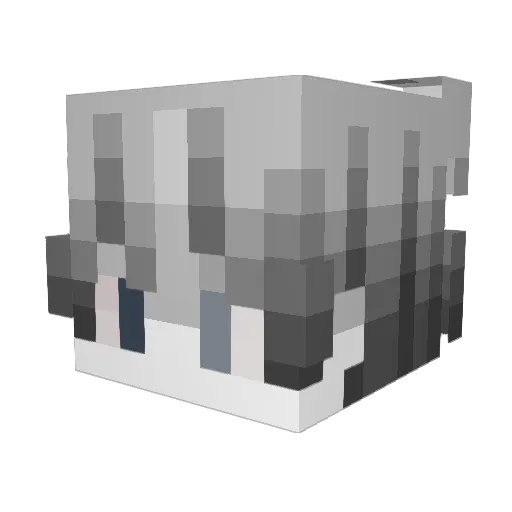 sqdFly Minecraft avatar head, 3D render
