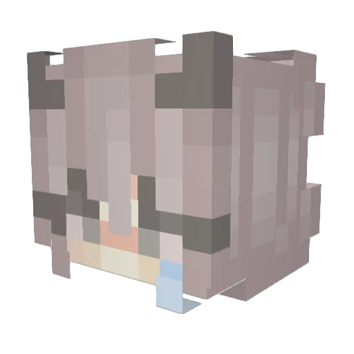 sqdgurl Minecraft avatar head, 3D render