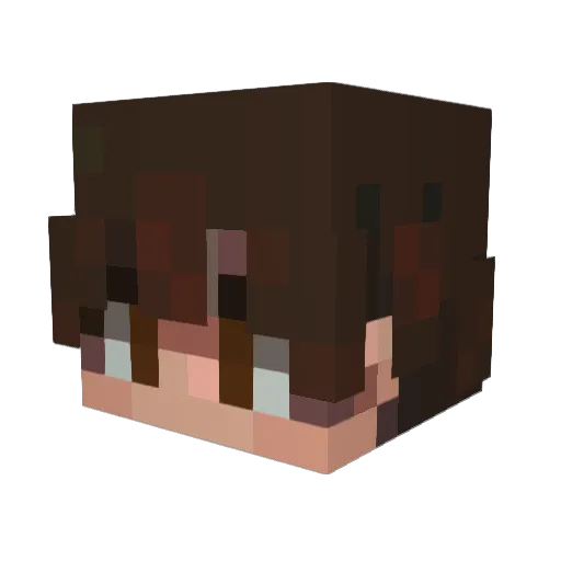 sqh789123 Minecraft avatar head, 3D render