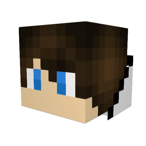 sqmany97 Minecraft avatar head, 3D render
