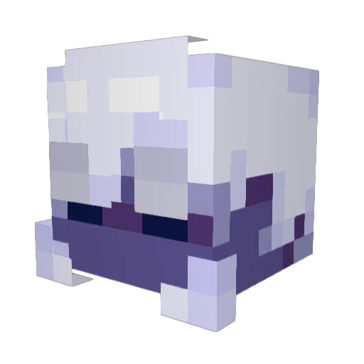 sqooks Minecraft avatar head, 3D render