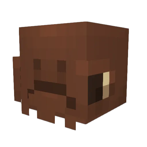 sqooq Minecraft avatar head, 3D render