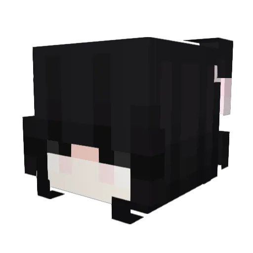 sqrxst Minecraft avatar head, 3D render