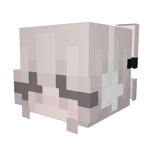 sqshq Minecraft avatar head, 3D render