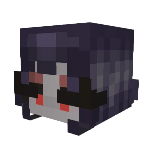 squ1shyyyy Minecraft avatar head, 3D render
