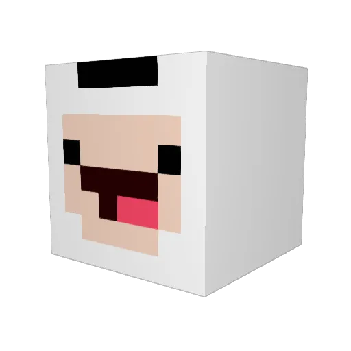 squaggyMC Minecraft avatar head, 3D render