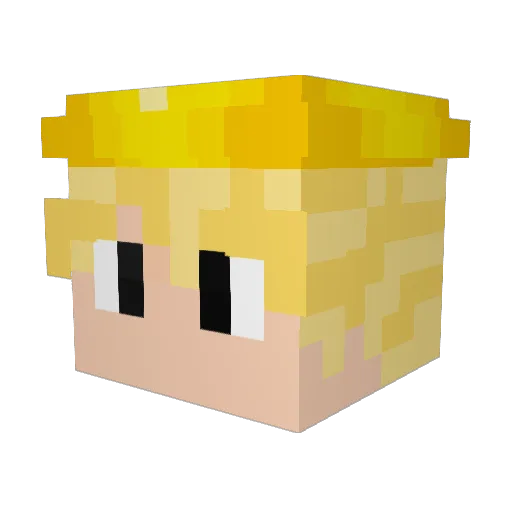 squankie69 Minecraft avatar head, 3D render