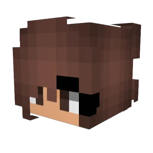 squarepanda69 Minecraft avatar head, 3D render