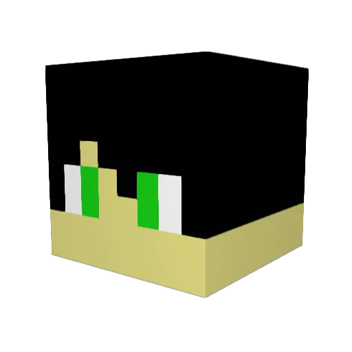 squashmaster Minecraft avatar head, 3D render