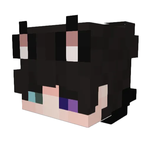 squeakerrss Minecraft avatar head, 3D render