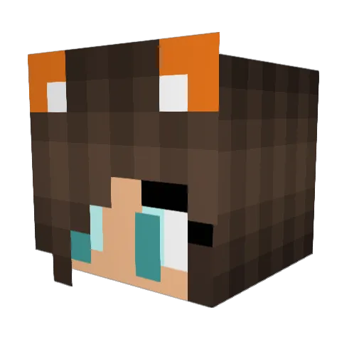 squeakers267 Minecraft avatar head, 3D render