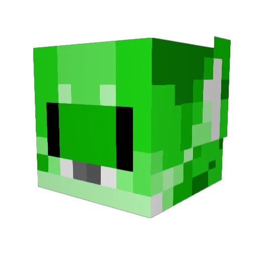 squeakycookie Minecraft avatar head, 3D render