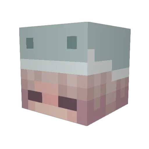 squeemi Minecraft avatar head, 3D render
