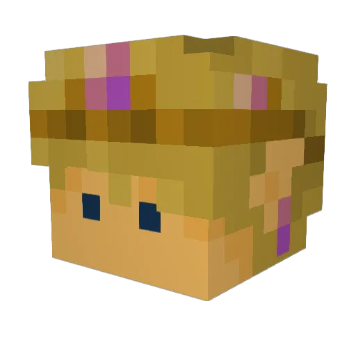 squeezyfresh Minecraft avatar head, 3D render