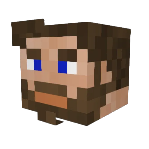 squiDcookiE Minecraft avatar head, 3D render